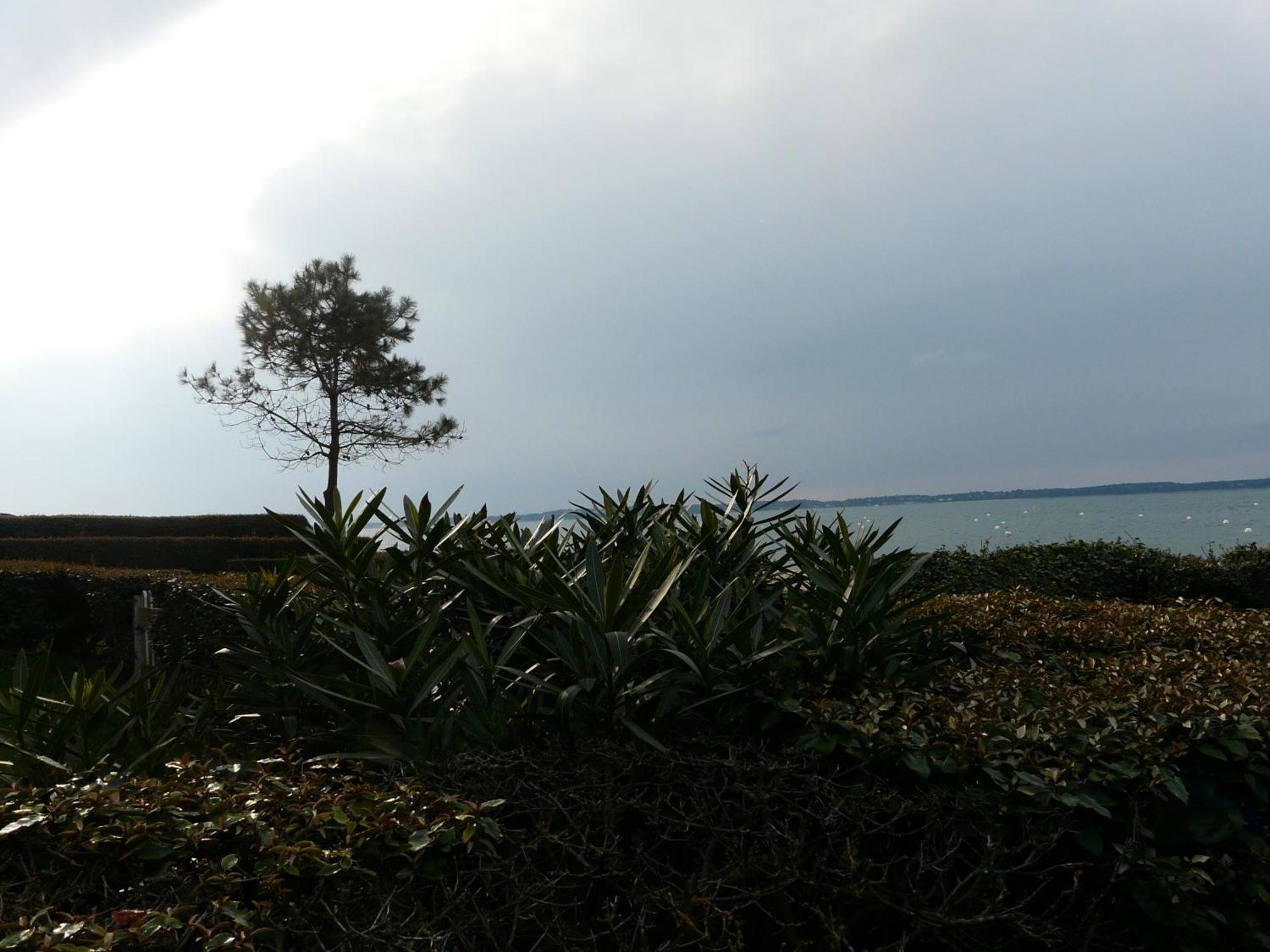 Apartment Pereire Bord De Arcachon