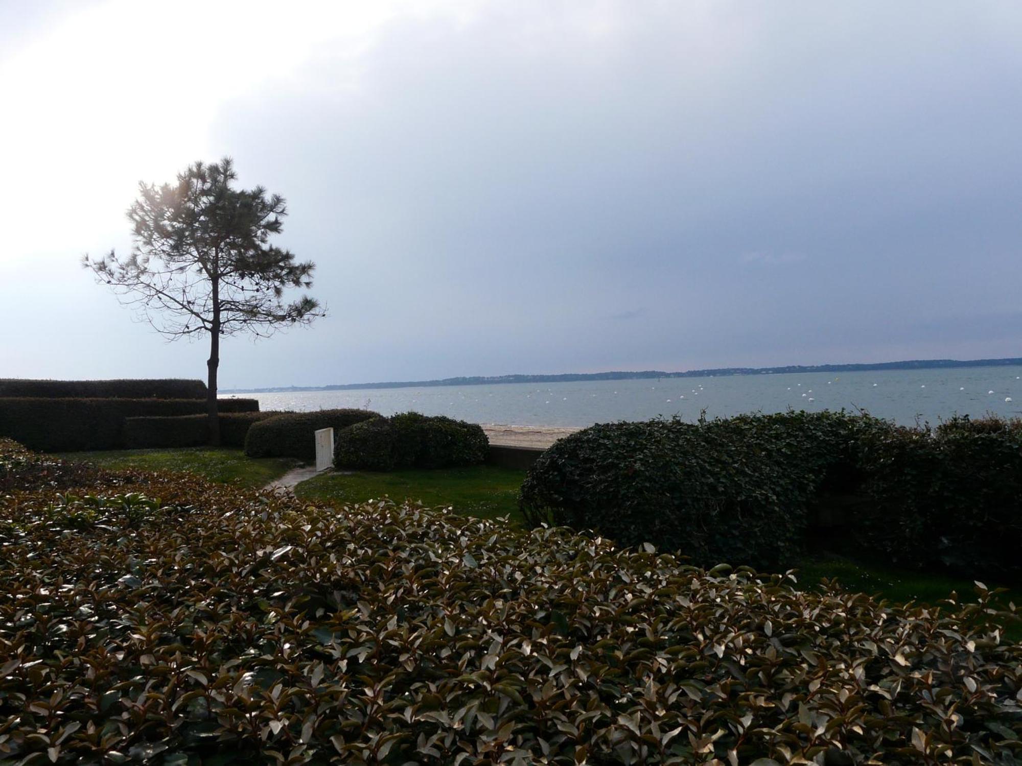 Pereire Bord De Arcachon
